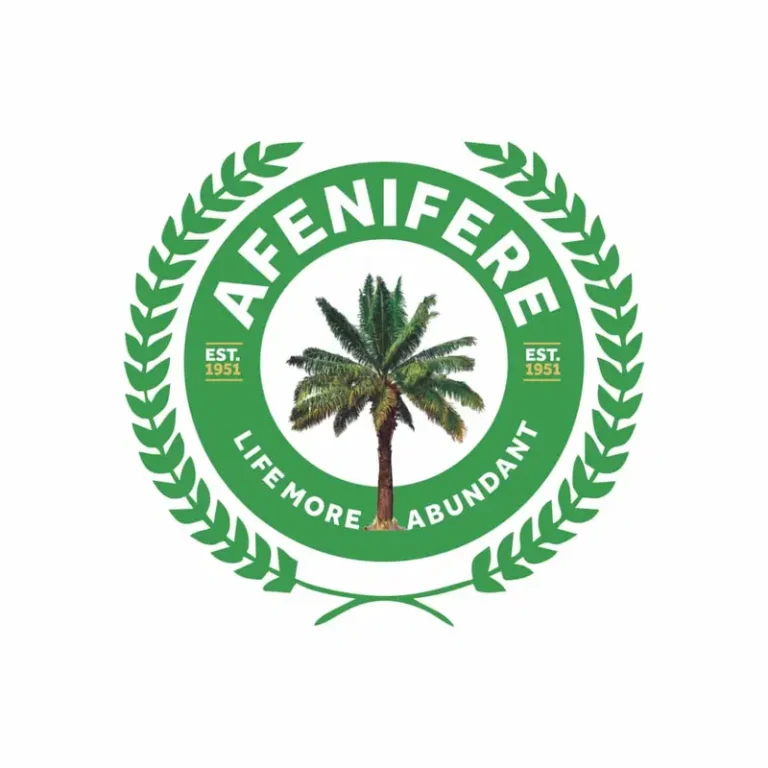 Afenifere Warns Rising Insecurity Threatens Nigeria’s Democracy