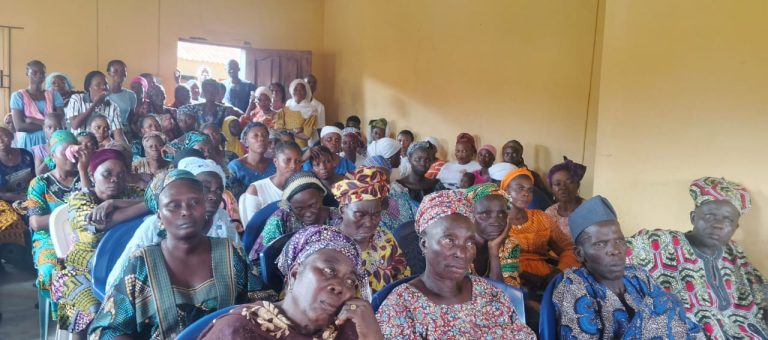Oyo 2027: Ibarapa East APC, Over 1000 ROCOF Supporters Dump APC For APM, Declare Support For Odidiomo, KSA